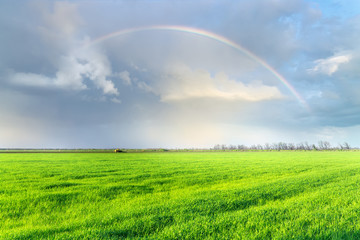 rainbow over the field / early spring fields of Ukraine the beau