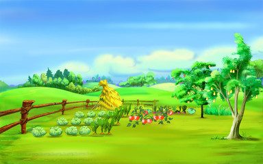 Fototapeta premium Haystack in a Garden Under Blue Sky in a Summer Day