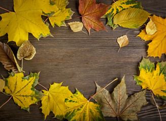 Naklejka na ściany i meble autumn classified on the tree with leaf frame for words and insc