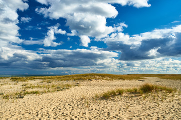 Fototapeta na wymiar Sand dunes at Cape Cod