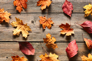 Naklejka na ściany i meble Autumn maple leaves over wooden background