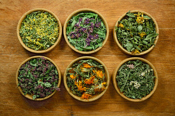 Dried. Herbal medicine, phytotherapy medicinal herbs.