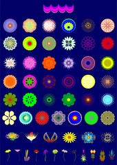 Different flower. 