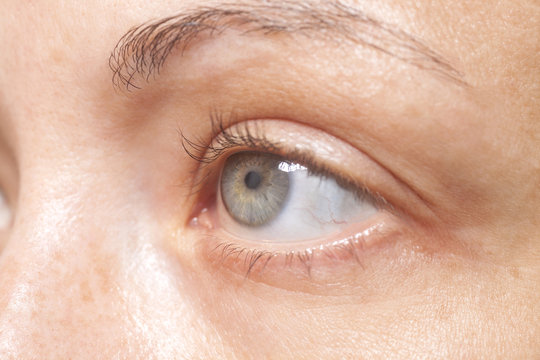 Macro image of woman human eye