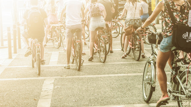 Tourist Cyclist Sightseeing