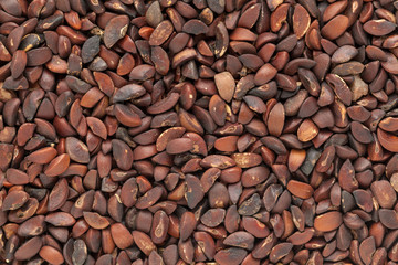 Organic dry Indian gooseberry (Phyllanthus emblica) seeds. Macro closeup background texture. Top View.