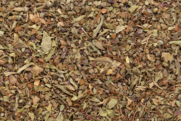 Organic dry Green or Holy Basil (Ocimum tenuiflorum) leaves. Macro closeup background texture. Top View.
