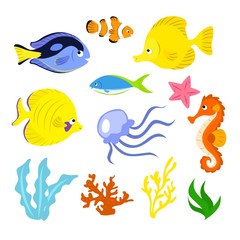 Fototapeta premium Sea life illustration
