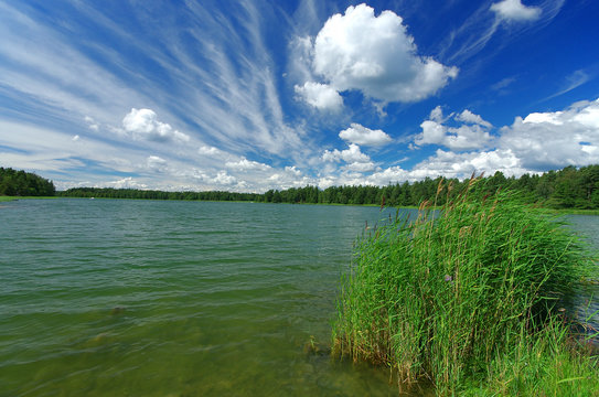 Fototapeta Idyllic Swedish landscape in the summer