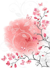 Sakura. Cherry blossom background. Vector