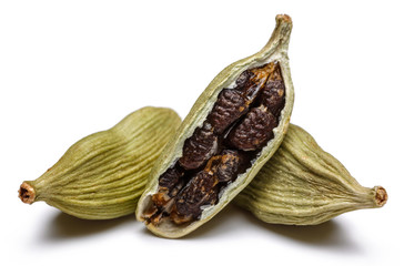 Cardamom