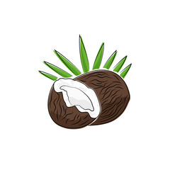 Coconut Isolated on White, Tropical Fruit Coconut, Vector Illustration