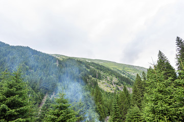 Photo of green peaks and fog from a forest in fagaras mountains, Romania.