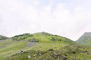 Photo of green capra peak, and a field full of sheeps grazing in fagaras mountains, Romania.