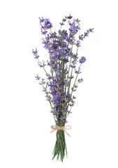 Deurstickers Bundle of lavender isolated on white background. © Antonel
