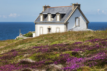 Millier Lighthouse