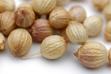 Coriander seeds isolated on white