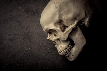 Human skull on stone background. Concept of horror, evil death and scary halloween objects.