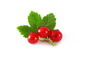 red currant isolated on a white background