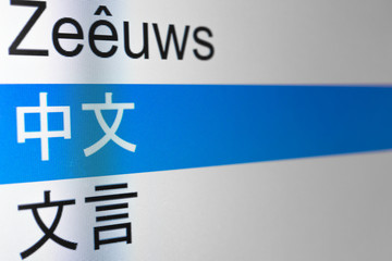 中国語 中文 言語の選択画面