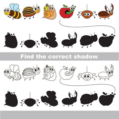 Set of funny small insects. Find correct shadow.