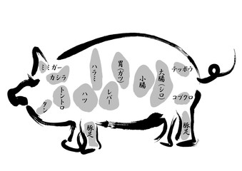 豚肉　内臓部位の名称