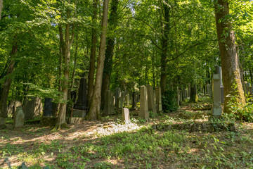 Old graves in a forest