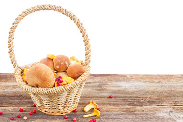 Basket of mushrooms