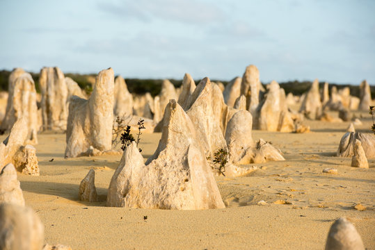 Pinnacles Park Desert View In West Australia