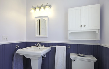 Bathroom with sink and toilet with blue walls