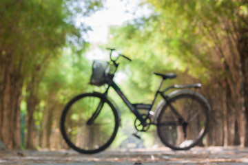 Fototapeta na wymiar Bicycle in bamboo background, blur background.