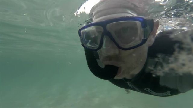 Snorkel diver swimming