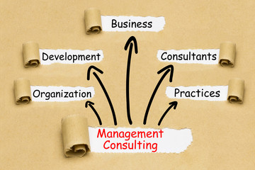 Management Consulting Concept
