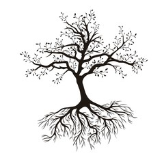 Tree with roots