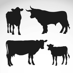 Cows and bull silhouettes