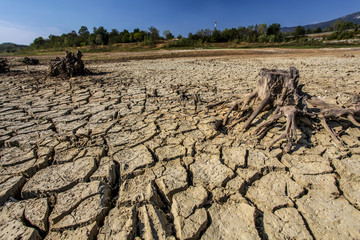 Droughted lake Vogrscek