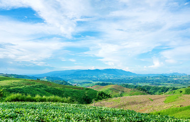Fototapeta na wymiar Khao Kho mountain ranges in the green season.