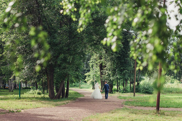 Obraz premium Back view of holding hands couple in love, bride and groom outdoor walking on field.