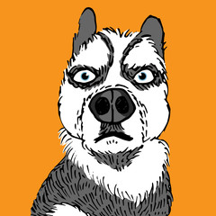 Angry dog. Dog hand draw style isolated on orange background. Vector illustration