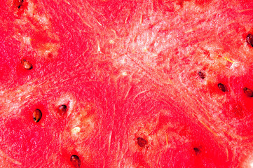 Watermelon texture on blue wooden background