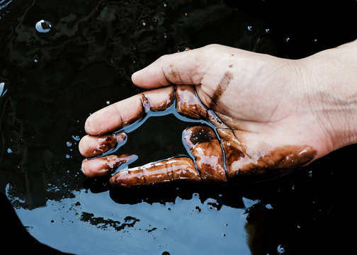 crude oil in hand due to crude oil leak.crude oil spill concept.