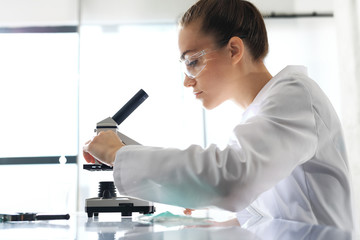 Biotechnolog bada próbki pod mikroskopem - obrazy, fototapety, plakaty
