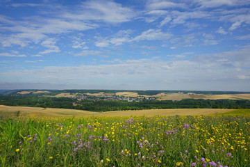 Paysage campagne 146