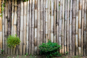 bamboo fences in rural areas and plant