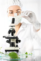 Biotechnolog bada próbki roślin pod mikroskopem