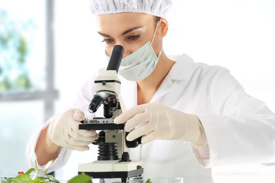 Laboratorium, badanie pr&oacute;bki roślin.