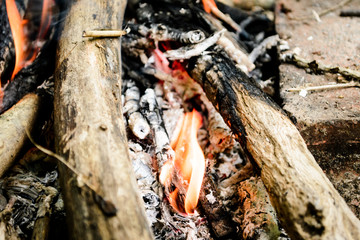 burning firewood. bonfire. fire, ashes.