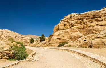Fototapeta na wymiar Road to the Siq at Petra