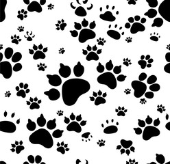 Animal paws. Vector