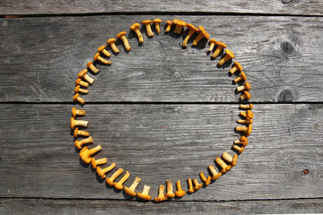 Fresh chanterelle mushrooms on a rustic table 